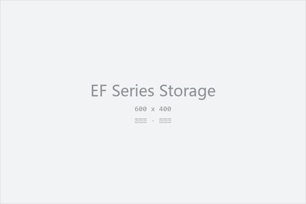 EF 系列共享存储服务器